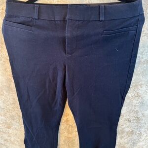 Banana Republic Navy Blue Trousers